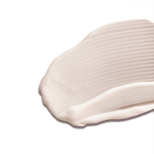 Cocoa Butter Hand Cream - Shop Max Brenner | USA