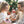 Load image into Gallery viewer, Happy Holidays Small & 18pc pralines - Shop Max Brenner | USA