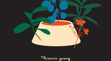 Forever young white chocolate custard - Shop Max Brenner | USA